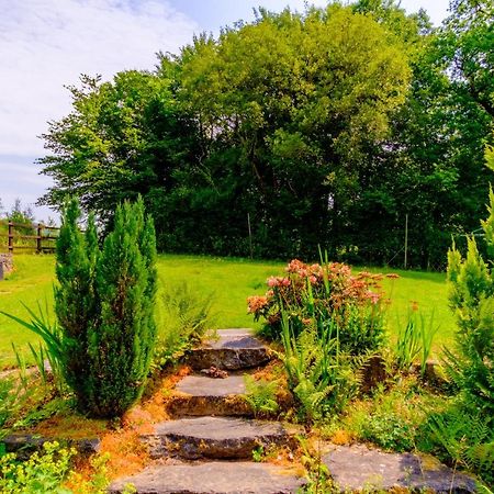 Lakeside Cottage Кармартен Екстер'єр фото